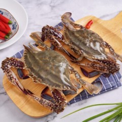 新鲜东海梭子蟹 花蟹飞蟹海螃蟹生鲜 梭子蟹1.3kg 单只6-8两 共3-4只 礼盒装
