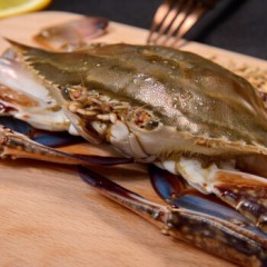 新鲜东海梭子蟹 花蟹飞蟹海螃蟹生鲜 梭子蟹1.3kg 单只6-8两 共3-4只 礼盒装