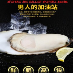 乳山生蚝鲜活 乳山生蚝XXXL号净重10斤约40只