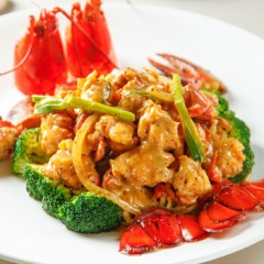御鲜之王 波士顿龙虾鲜活 波龙 大龙虾海鲜水产活虾 5000g/只（10斤） 大龙虾1只