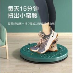 品牌进口跨境扭腰盘居家旋转磁石按摩家用运动健身器材腰部锻炼扭