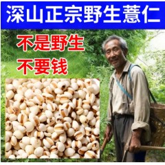 深山野生薏米药用养生中药材小薏米薏苡仁可搭配茯苓芡实祛湿500g