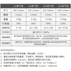鲁建高医用氧气瓶供氧器
