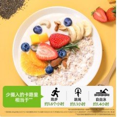 穗格氏（SHEGURZ）奇亚籽藜麦燕麦片