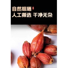 栀子材栀子果泡水喝野生红山栀子丁香桂花茶包