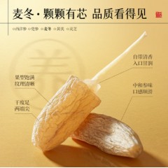 九芝堂双参灵芝元气四宝茶