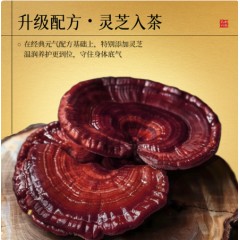 九芝堂双参灵芝元气四宝茶