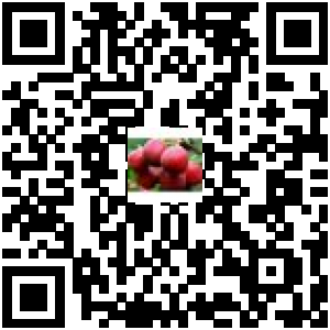 商品二维码